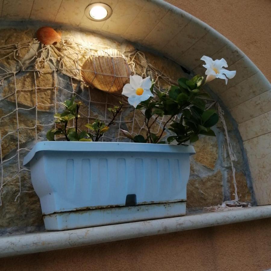 Ivana Home Trapani Bagian luar foto
